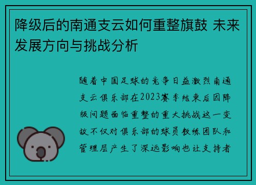 降级后的南通支云如何重整旗鼓 未来发展方向与挑战分析