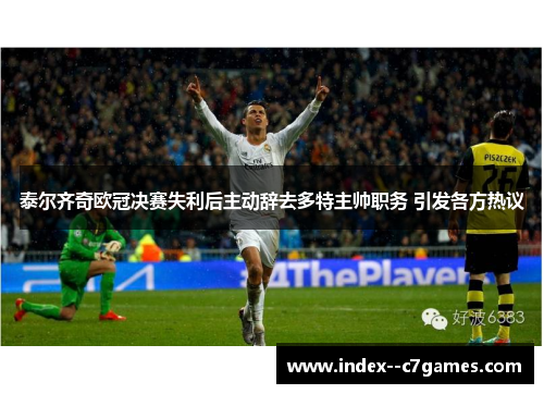 泰尔齐奇欧冠决赛失利后主动辞去多特主帅职务 引发各方热议 泰尔齐奇欧冠决赛失利后主动辞去多特主帅职务 引发各方热议